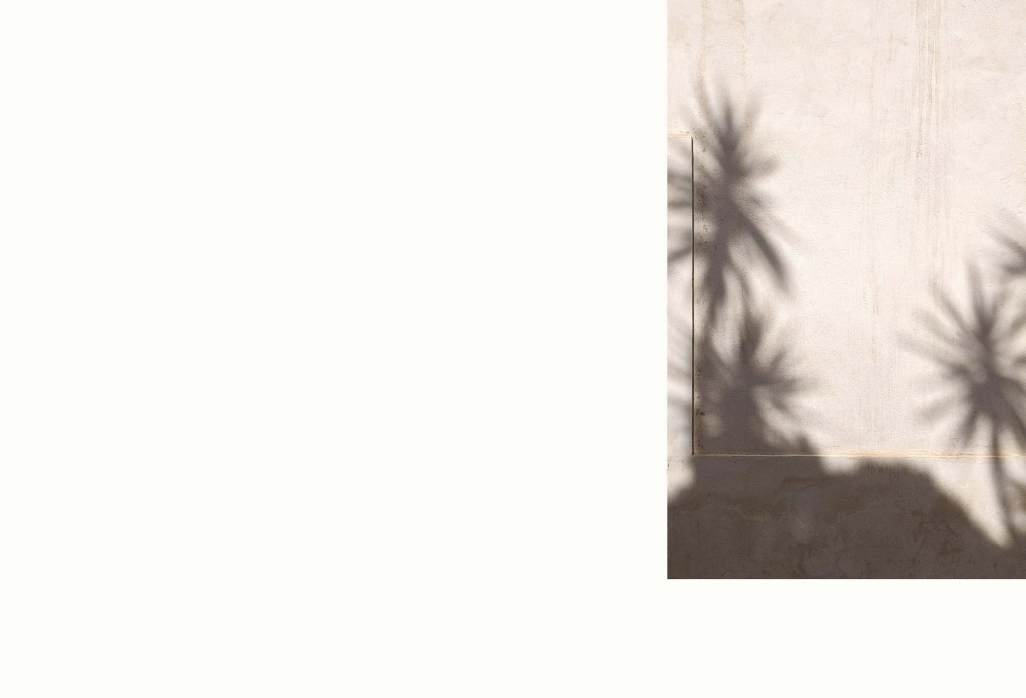 Nature Banner